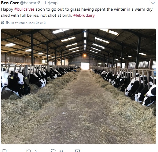 твит #februdairy твит #februdairy