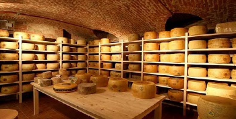 Санкционные аномалии или как архитекторы и продюсеры уходят в сыроделие