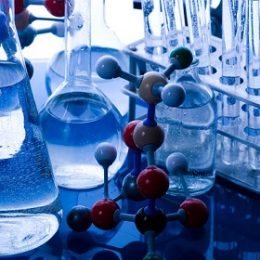 Проект межгосударственного стандарта на метод определения сухого молока