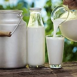Производство стерилизованного молока