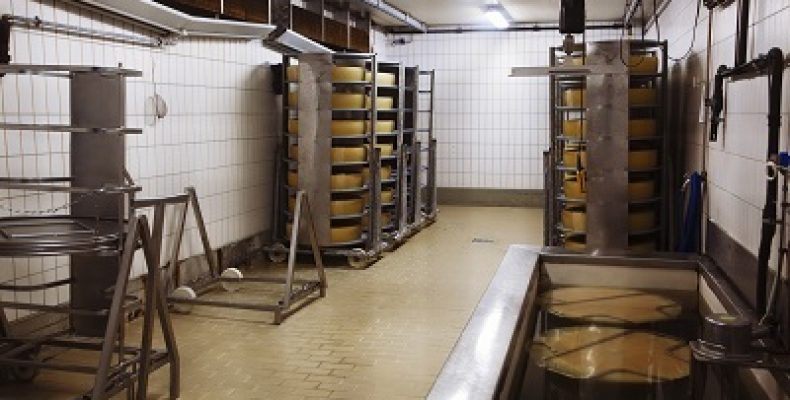 Общая технология сыра