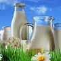 Производство закваски для кисломолочных продуктов