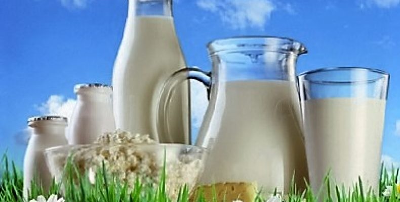 Производство закваски для кисломолочных продуктов