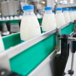Оборудование для упаковки молочной продукции: что стоит знать?
