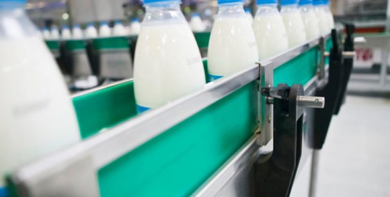 Оборудование для упаковки молочной продукции: что стоит знать?