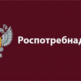 Путин подписал закон о проведении Роспотребнадзором контрольных закупок